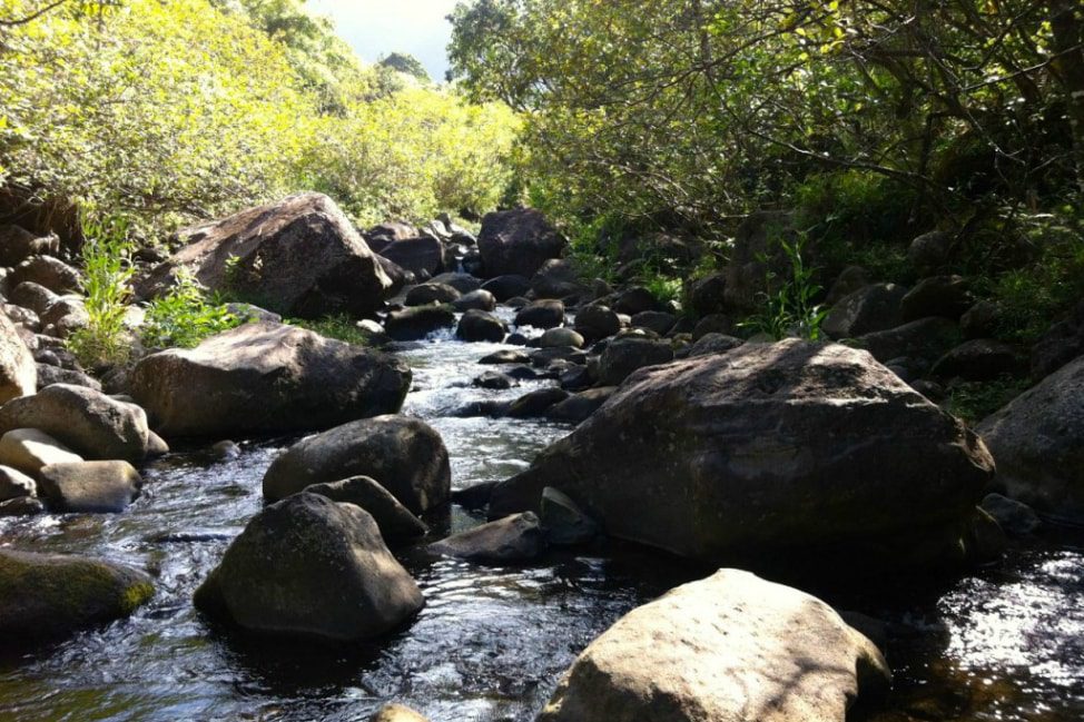Hiking the Hanakapiai Fall Trail in Kauai