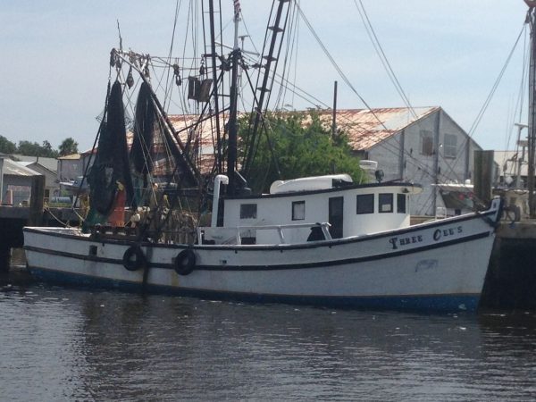 Amelia Island - the birthplace of the modern shrimping industry 