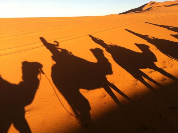 camel riding in sahara