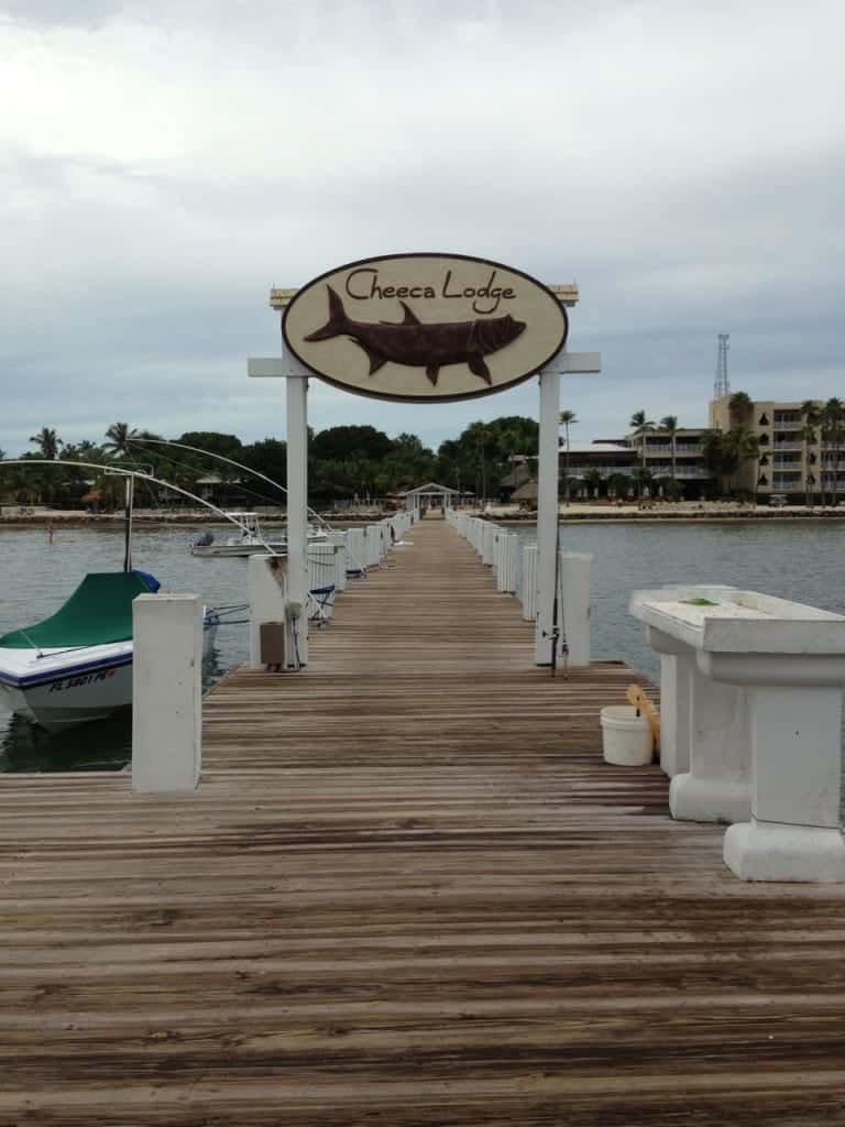Cheeca Lodge Islamorada - Hotels in Florida