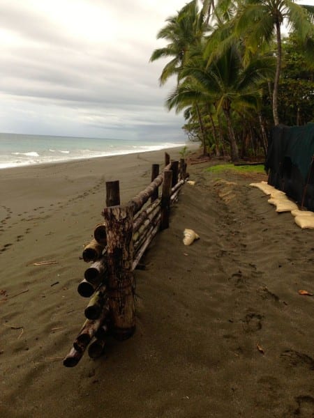 Osa Peninsula Costa Rica