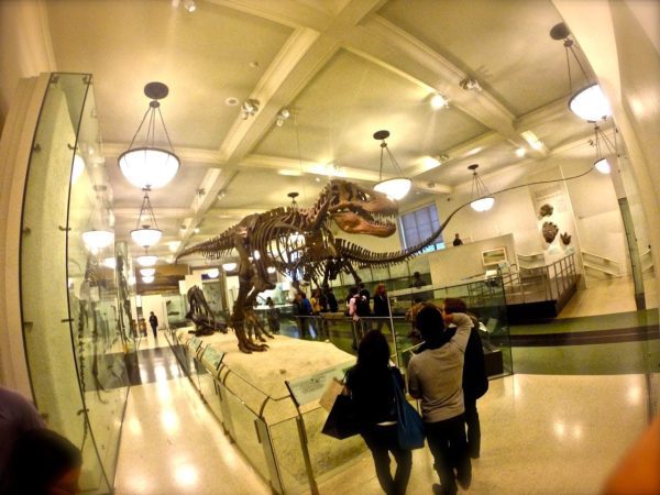 At the Museum of Natural History - full of people on a rainy October day