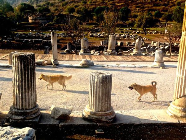 Ephesus Turkey 