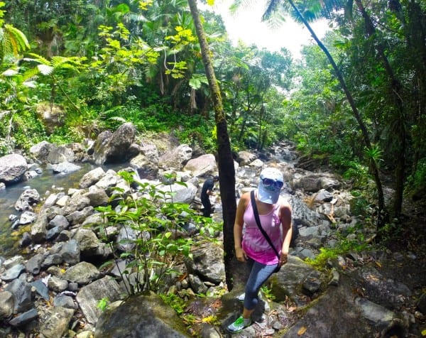 Hiking in El Yunque Rainforest Puerto Rico 