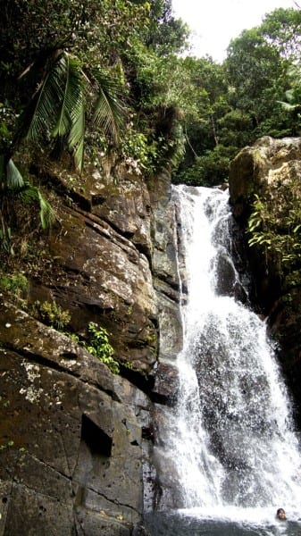 El Yunque Waterfall Puerto Rico