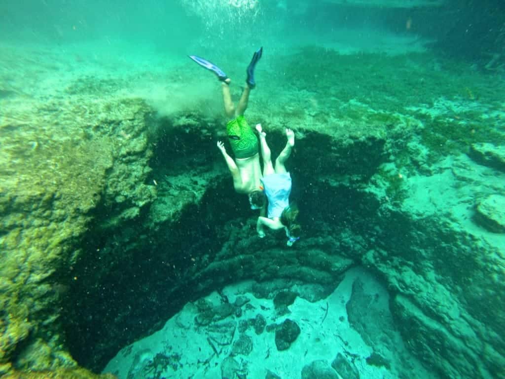 Freediving at Ginnie Springs