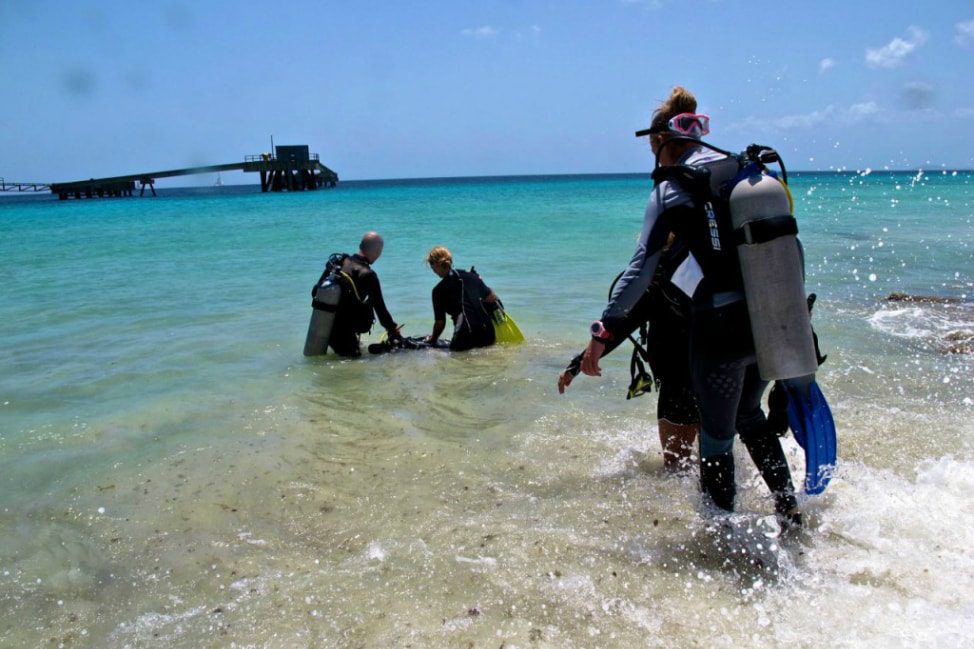 Bonaire Diving